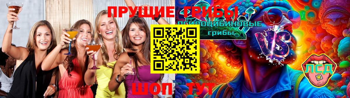 Псилоцибиновые грибы GOLDEN TEACHER Углич