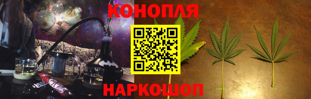 Бошки Шишки план Углич